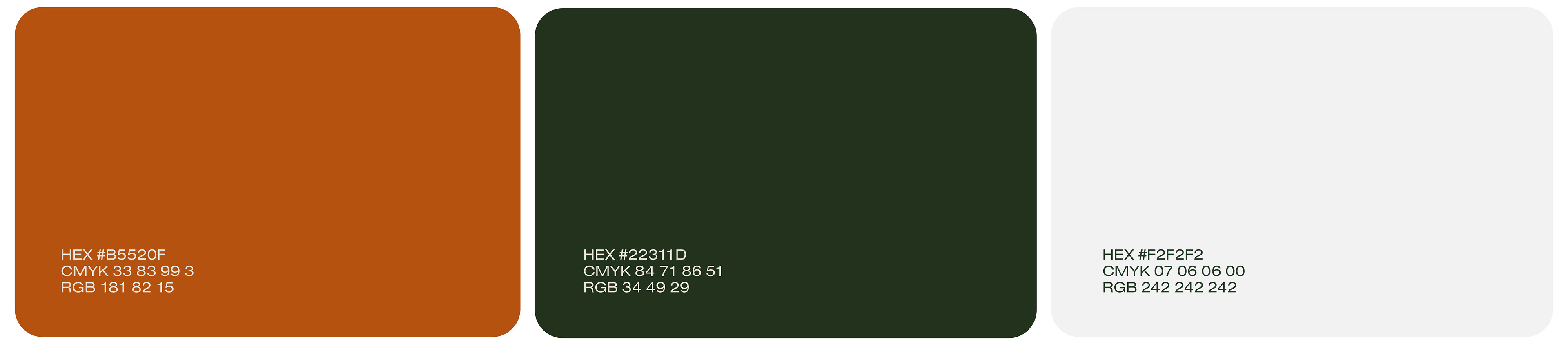 1737680018720823.jpg 5.jpg